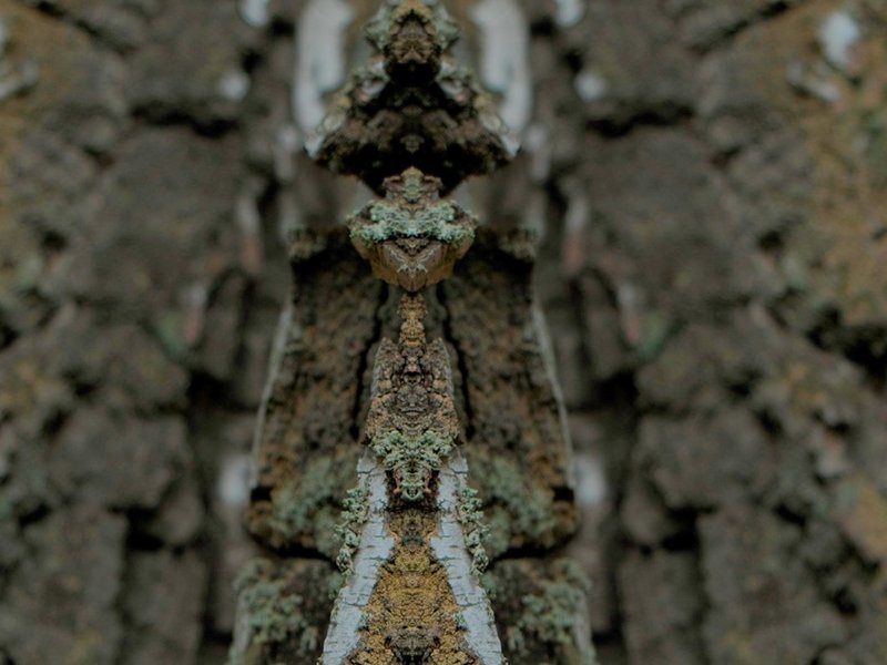 Georg Lutz, „Green Fence“ (2026, Filmstill). Digitalvideo, 09:00 min. Leihgabe des Künstlers, © the artist