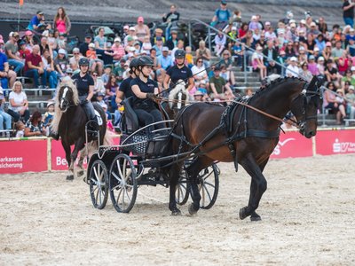 Die Auszubildenden des Haupt- und Landgestüts Marbach: Sattelfest und sicher an den Leinen, begeisterten sie die Besucher am vierten Marbacher Kindertag (Foto: Tom’s Pic)