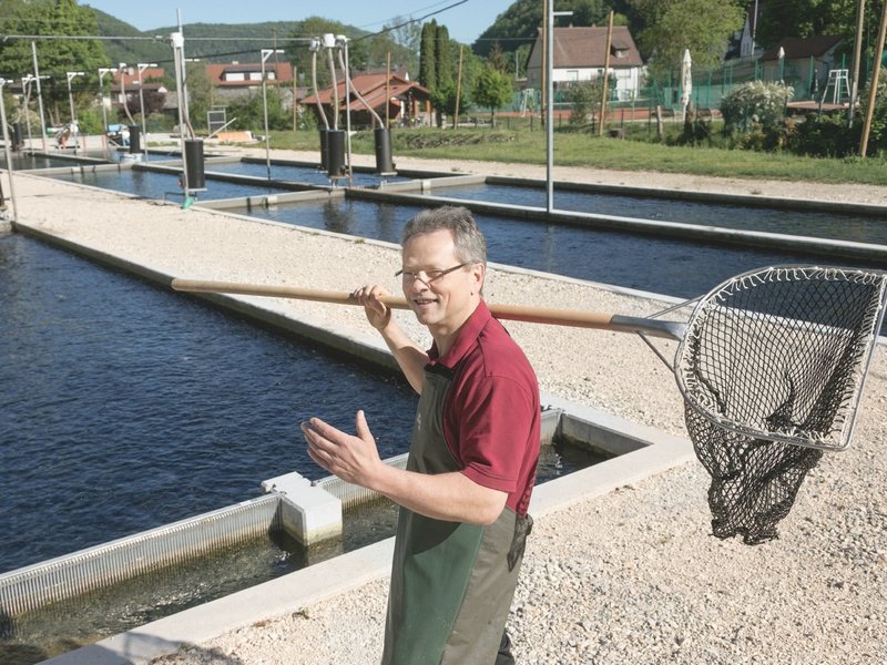 honau rössle forellen marktleben