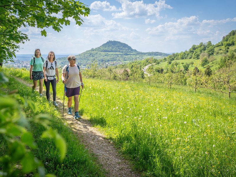 © hochgehberge, Foto: Steffen Steinhäußer