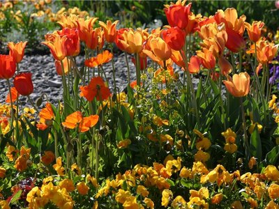 Bildquelle: Eigenbetrieb Gartenschau Bad Urach 2027