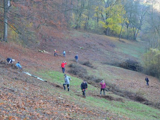 Abräumen des Gehölzschnittguts (Quelle: O. Ehret)