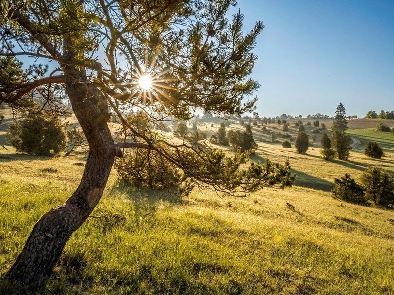 Sonnenaufgang Digelfeld ©Mythos Schwäbische Alb; Foto: Steffen Steinhäußer