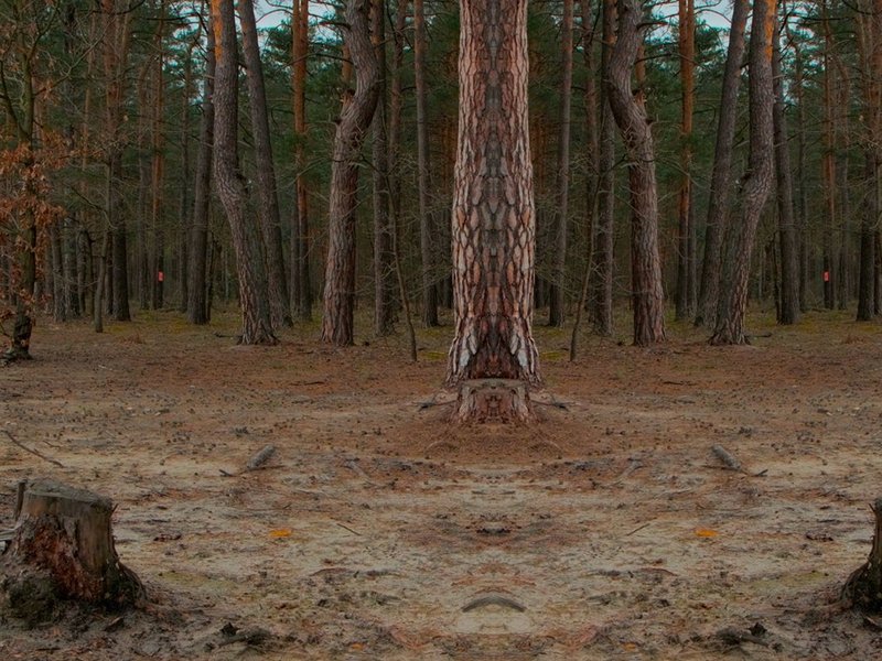 Georg Lutz, „Green Fence“ (2026, Filmstill). Digitalvideo, 09:00 min. Leihgabe des Künstlers, © the artist.