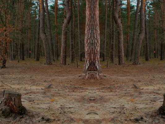 Georg Lutz, „Green Fence“ (2026, Filmstill). Digitalvideo, 09:00 min. Leihgabe des Künstlers, © the artist.