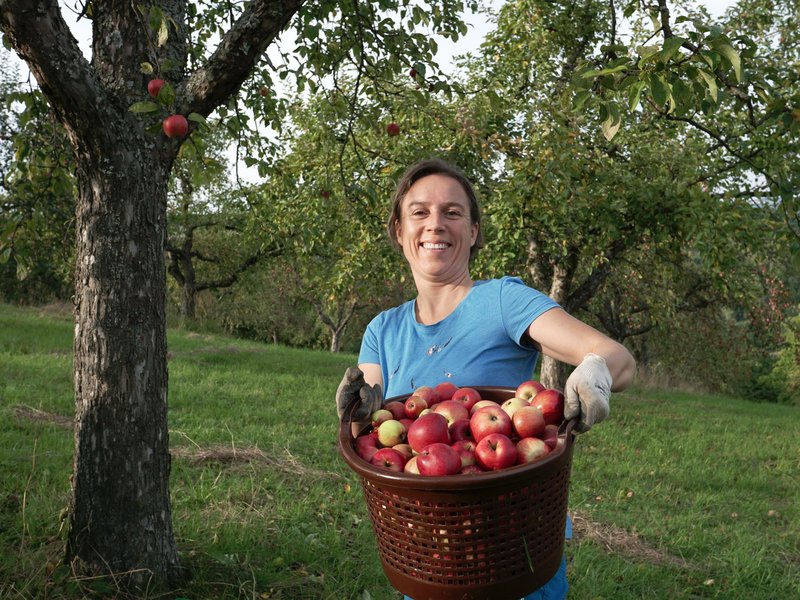 Foto: Geschmackliche Vielfalt: Tafeläpfel von der Streuobstwiese. © Streuobstparadies
