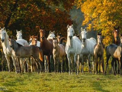 Foto: Archiv Boiselle