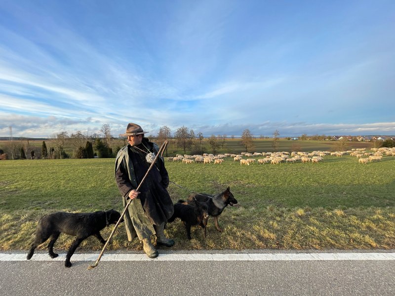 Wanderschäfer Jonas Henninger mit Herde; Fotografie: Uwe Kassai.
