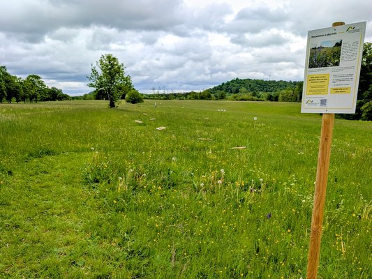 Foto: Heuwiesen-Labyrinth am Roßberg (Fotoquelle: LEV Reutlingen e.V.)