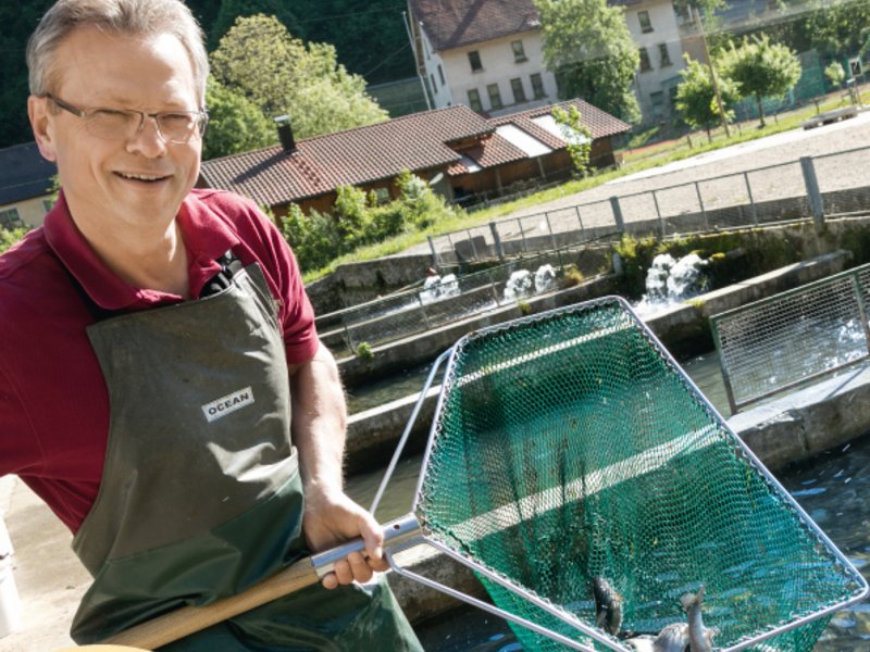 Titelbild Marktleben juni 2018