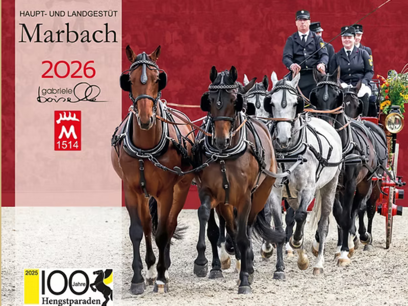 Der neue Marbach-Kalender 2026: Das Haupt- und Landgestüt Marbach in 24 beeindruckenden Motiven.