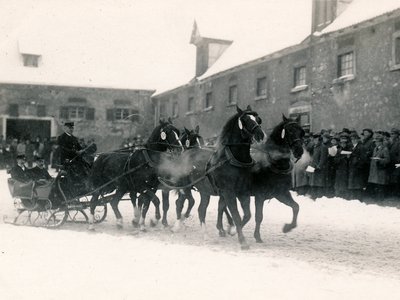 Copyright: Haupt- und Landgestüt Marbach, Fotograf: Stephan Kube