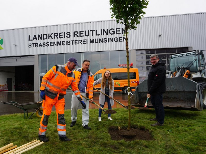Landrat Dr. Ulrich Fiedler (r.) setzte gemeinsam mit Hannah Czichowsky (Klimaschutzbeauftragte Landratsamt Reutlingen, m.) und den beiden Kollegen Bernd Geiselhart (Hofverwalter, l.) und Daniel Horn (Stellvertretung Straßenmeisterei Münsingen, 2.v.l.) der Straßenmeisterei Münsingen einen neuen Baum ein. 