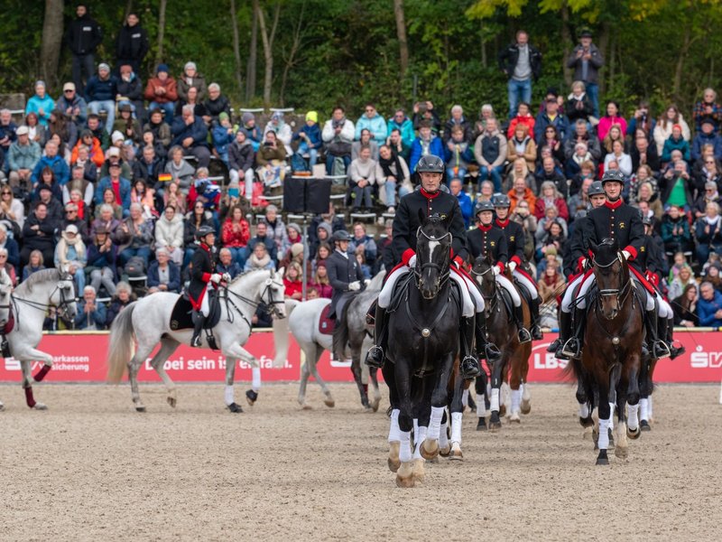 Ein Pferdefest für die ganze Familie: Die Marbacher Hengstparaden in der großen Hengstparadearena des Gestüts (Foto: Stephan Kube).