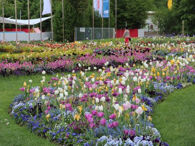 Bildquelle: Eigenbetrieb Gartenschau Bad Urach 2027