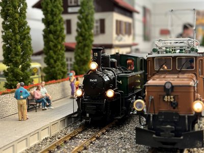 Mit Volldampf voraus: Modelleisenbahnausstellung in Marbach (Foto: Tina Pander)