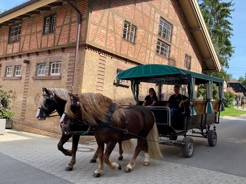 Ferienfahrten: Mit dem Planwagen das Gestütsareal entdecken (Foto: Gille-Eberhardt)