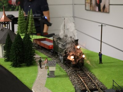 Mit Volldampf voraus: Modelleisenbahnausstellung in Marbach (Foto: Tina Pander)