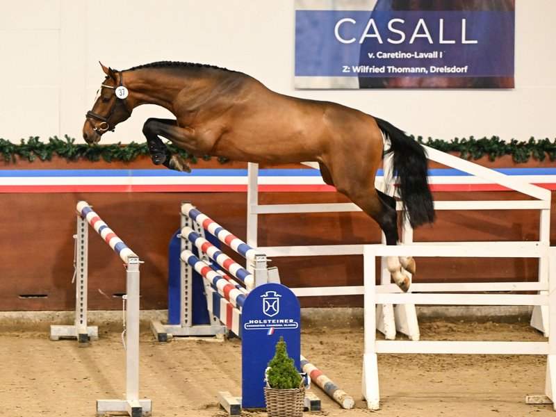 Keystone von Keaton, (Foto: Kiki Beelitz).